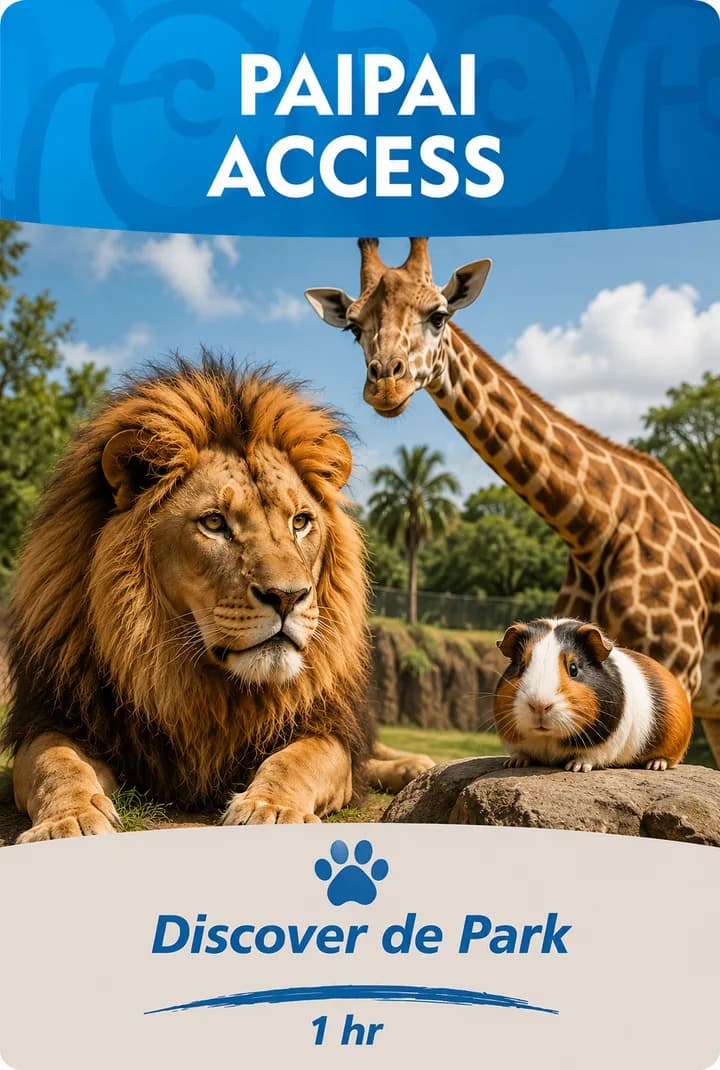 Pai Pai Access