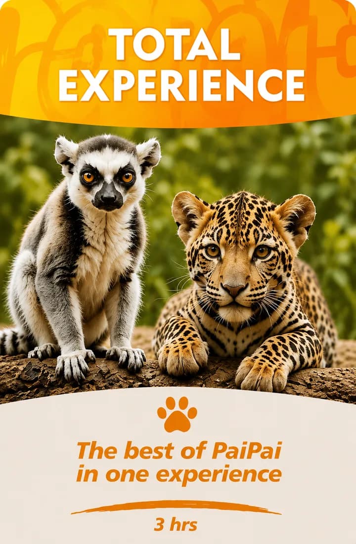 Total Experience