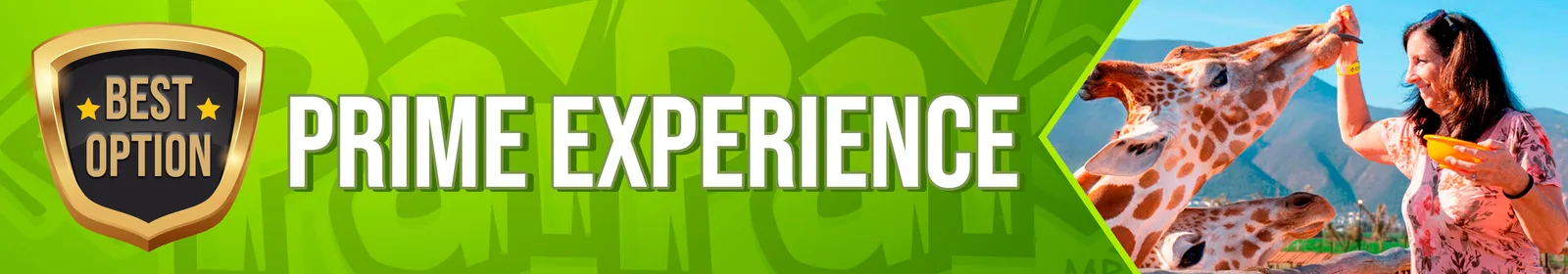 Prime Experience
