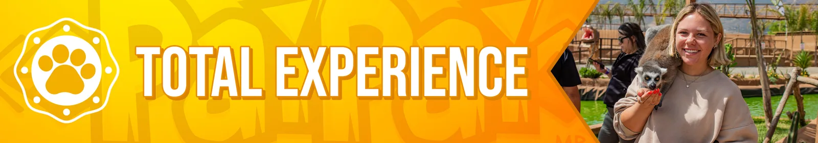 Total Experience
